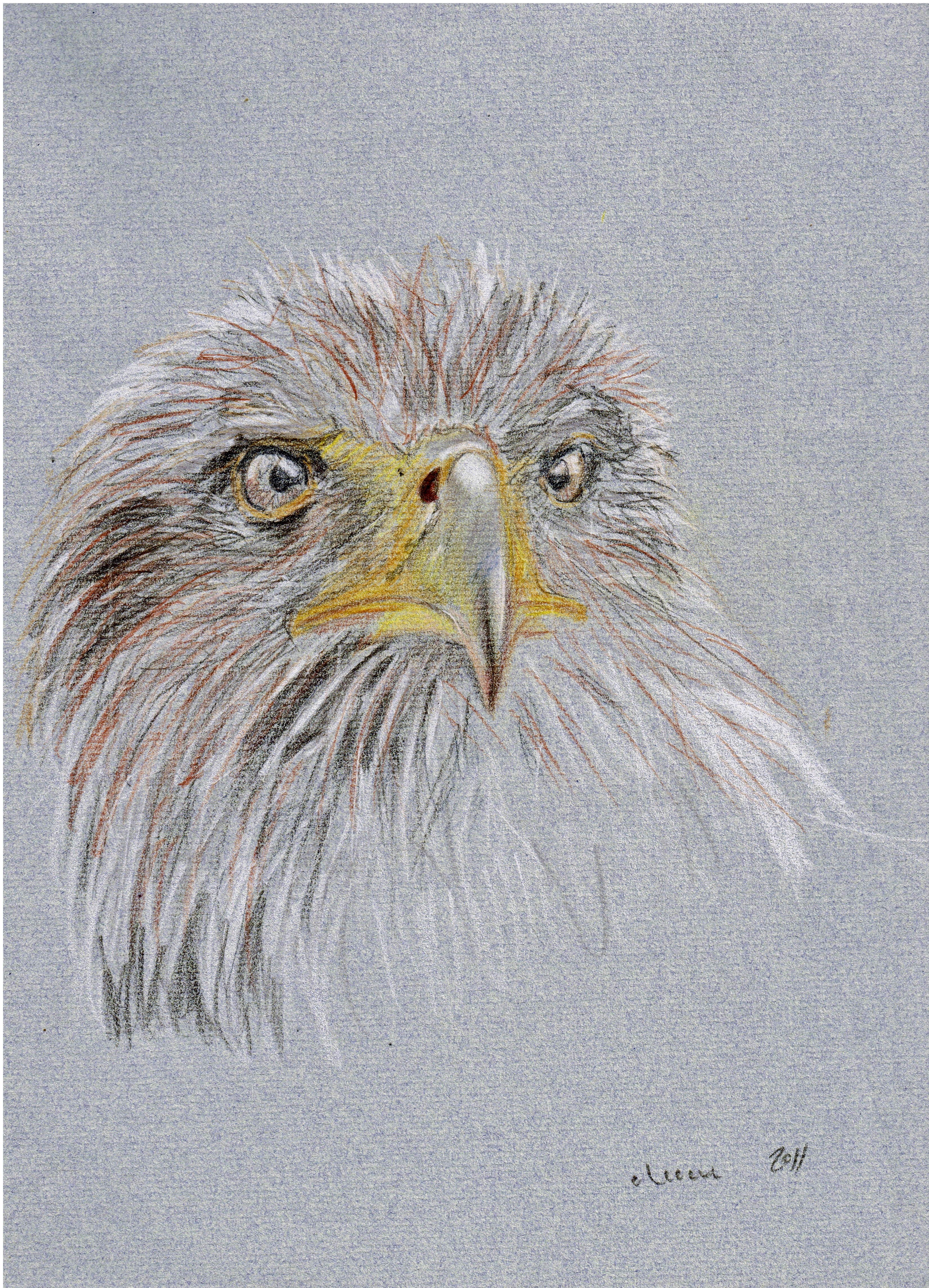 Águila