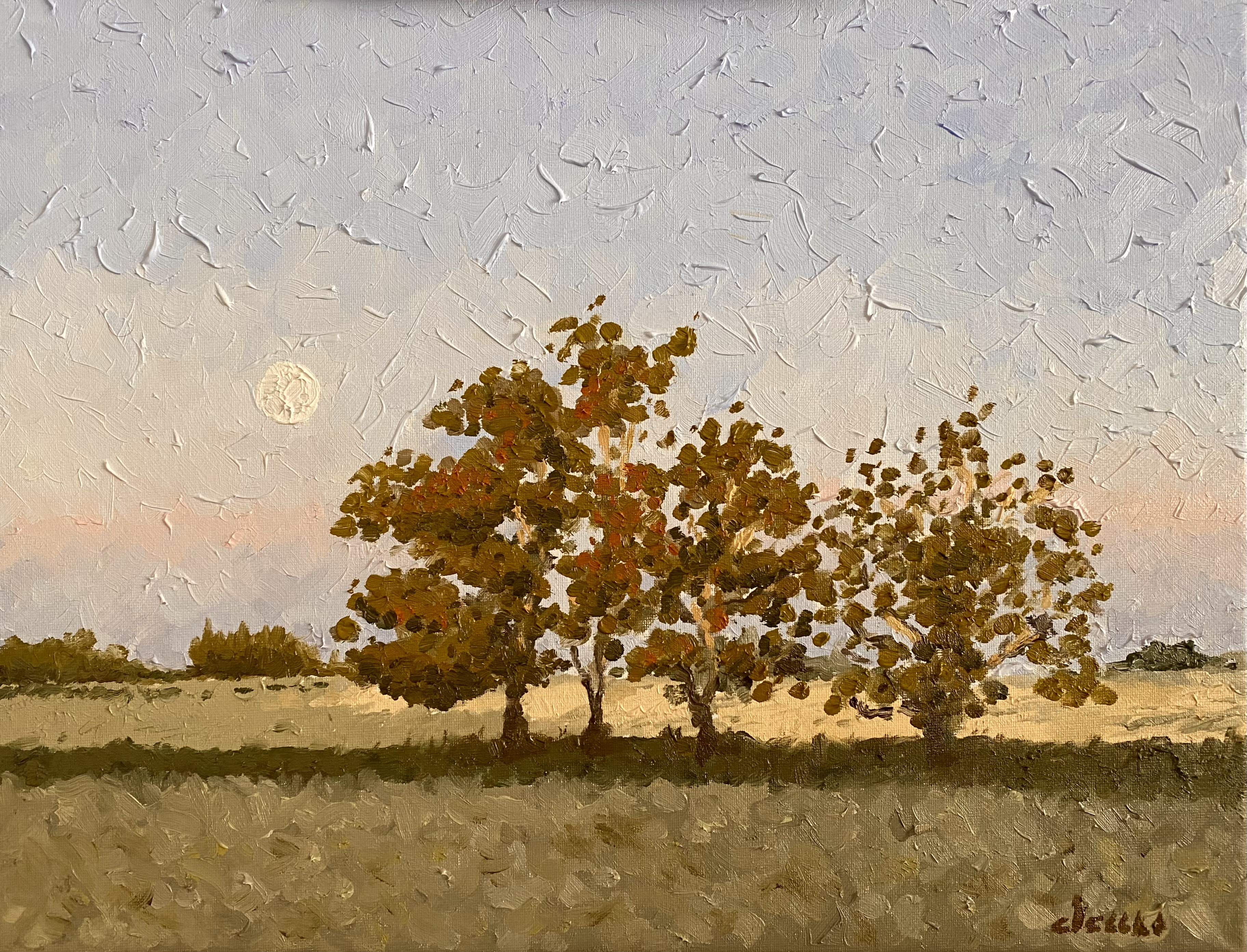 Campo en Trinidad